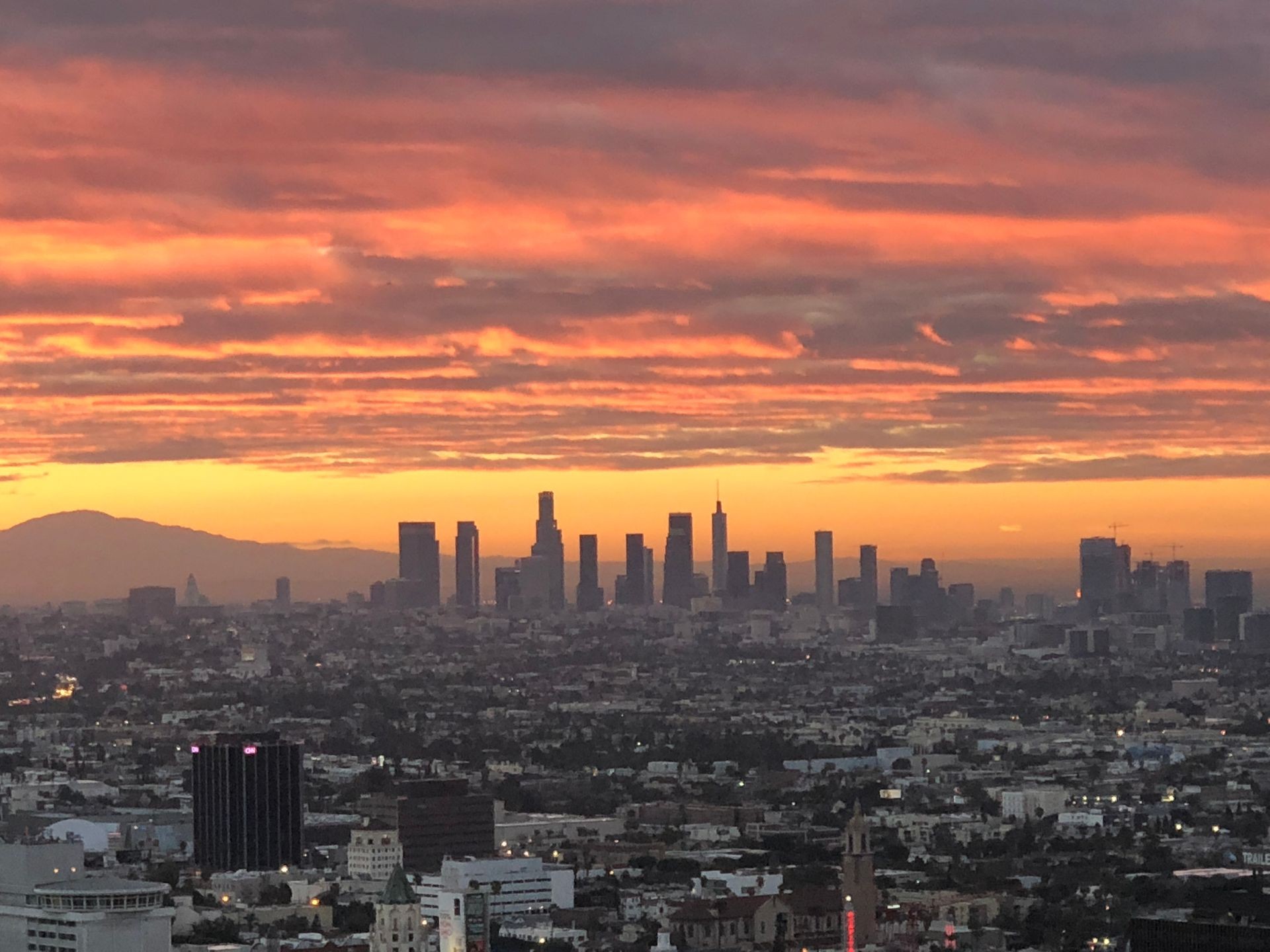 Wish from Runyon canyon park